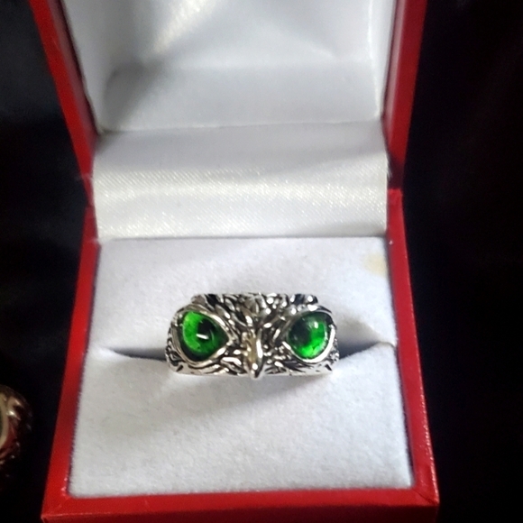 Owl Eye 3D Band Ring In Stainless Steel - Picture 1 of 8